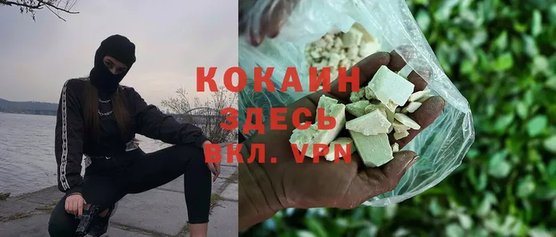 MEGA ССЫЛКА  Гаджиево  COCAIN 99% 